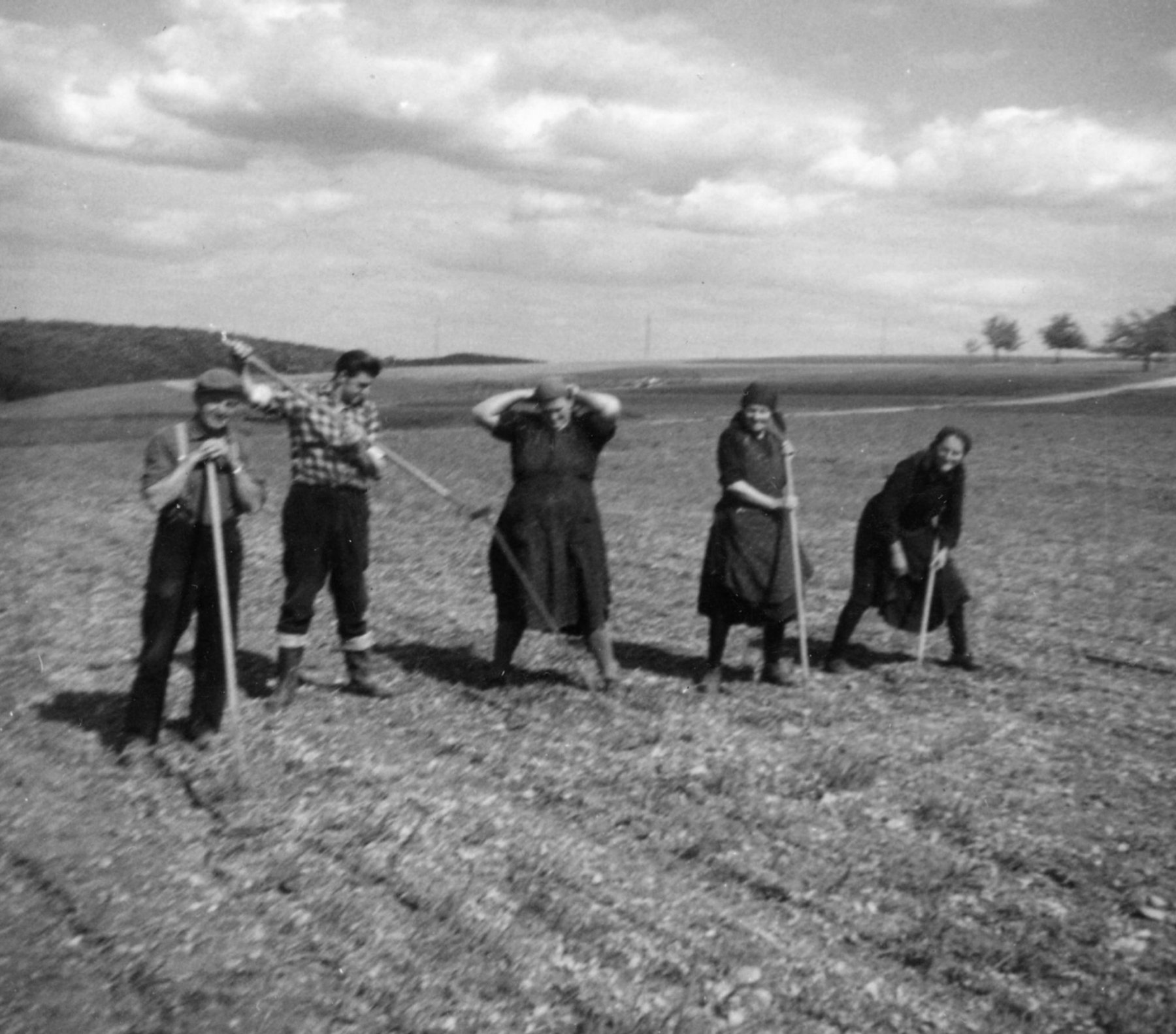 feldarbeit_1962 familie haass